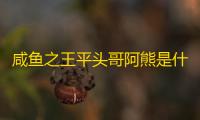 咸鱼之王平头哥阿熊是什么梗